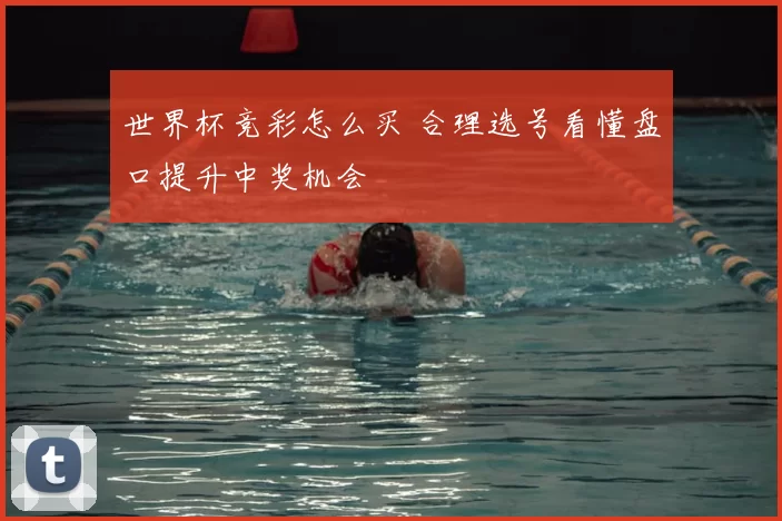 世界杯竞彩怎么买 合理选号看懂盘口提升中奖机会